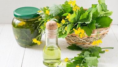 tırnak mantar tedavisi için celandine kaynatma